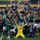 Palmeiras 1 80x80 - Palmeiras con gol en tiempo añadido es campeón de la Copa Libertadores