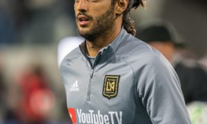 Vela