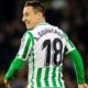 Guardado