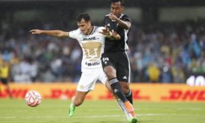 Pumas
