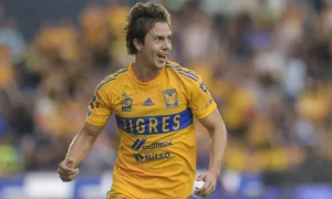 Tigres