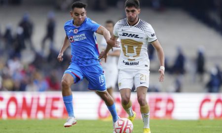 Pumas