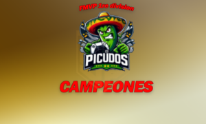picudos 300x180 - Picudos Campeones FMVP 1