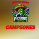 picudos 80x80 - Picudos Campeones FMVP 1