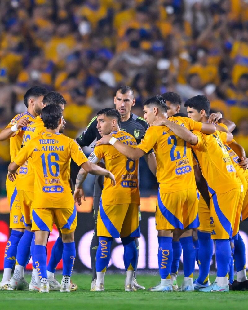Tigres