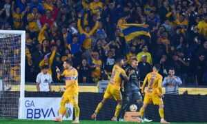 Tigres