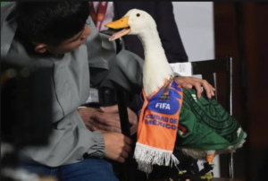 FIFA se hace pato, no deja entrar a Merlin al estadio