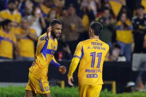Tigres vuelve a sonreír: victoria y debut ganador para Vucetich